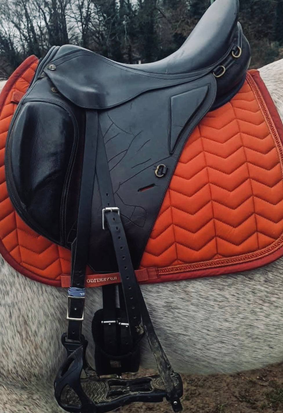 Selle 17,5” endurance / rando ancien modèle