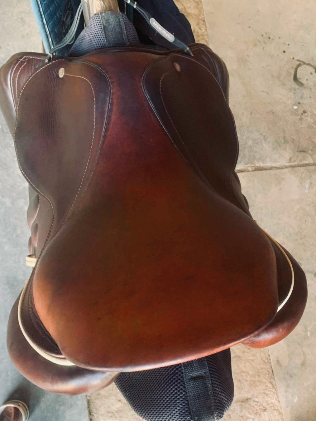 Selle doublée veau 17" - 2021 Occasion